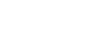 19%